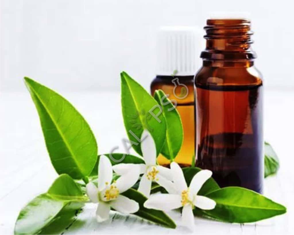 Beneficio de aceite absoluto floral de Narciso